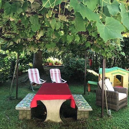 Villa Ombrosa Nebbiuno Экстерьер фото
