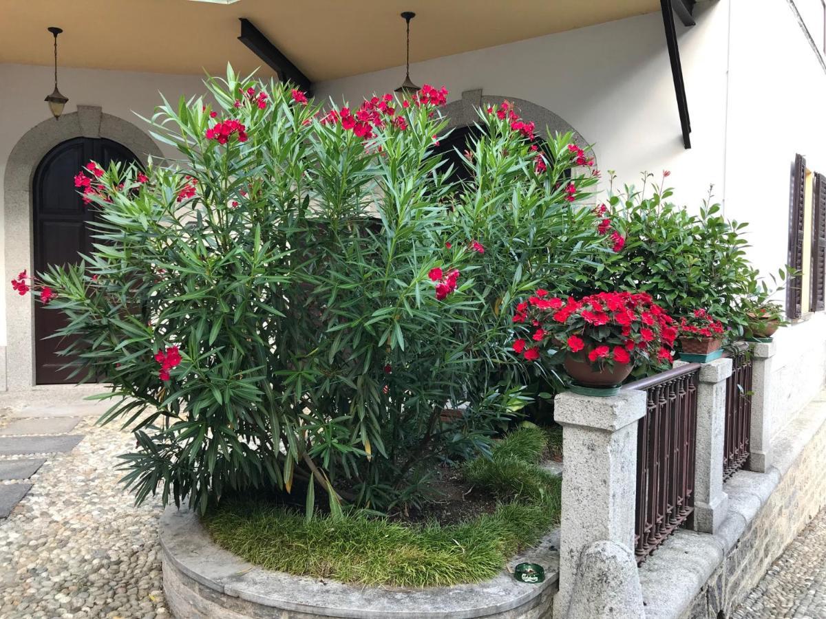Villa Ombrosa Nebbiuno Экстерьер фото