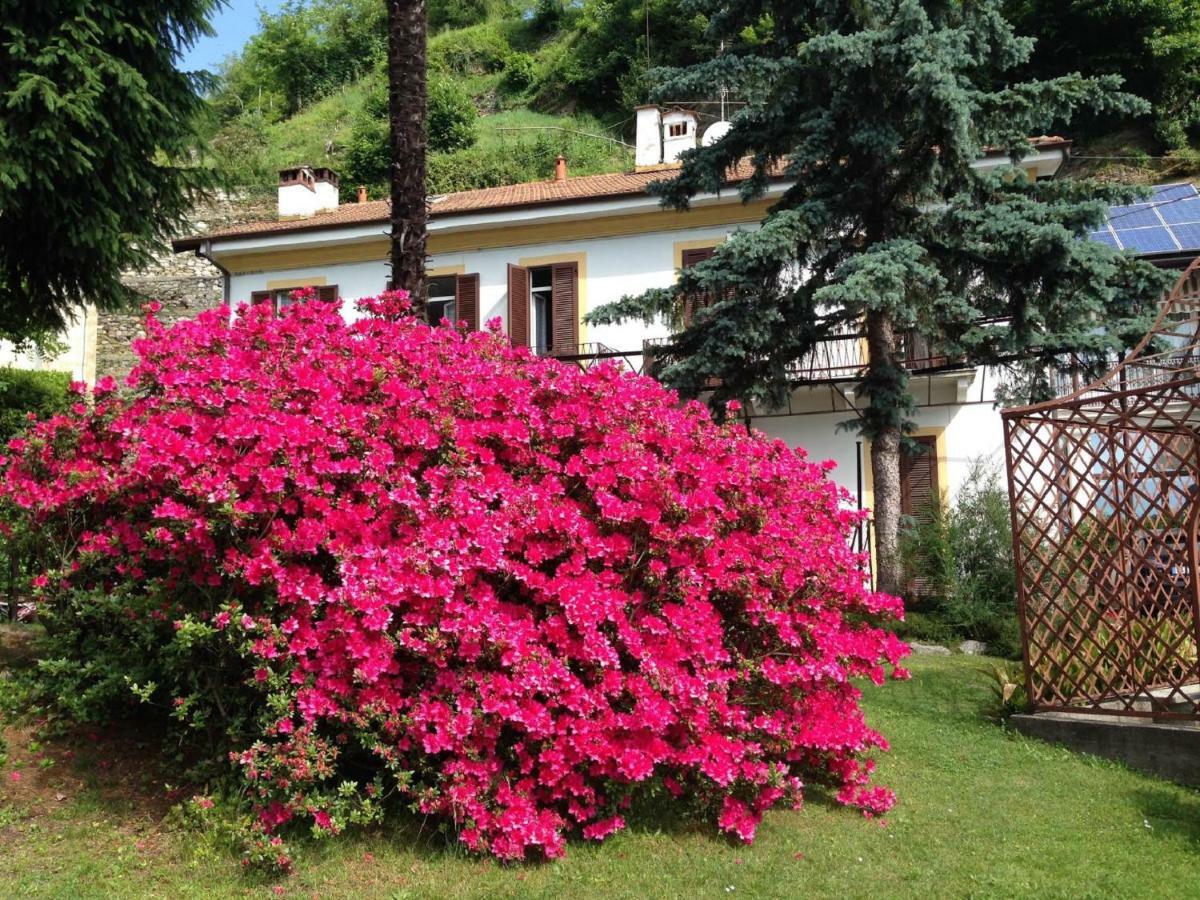 Villa Ombrosa Nebbiuno Экстерьер фото